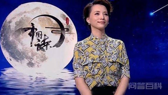 央视10大美女主持人,个个才貌双全,董卿知性,海霞端庄 她们都能够落落大方