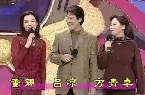 央视10大美女主持人,个个才貌双全,董卿知性,海霞端庄 提到央视女主持