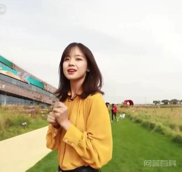 央视10大美女主持人,个个才貌双全,董卿知性,海霞端庄 最近要考试了