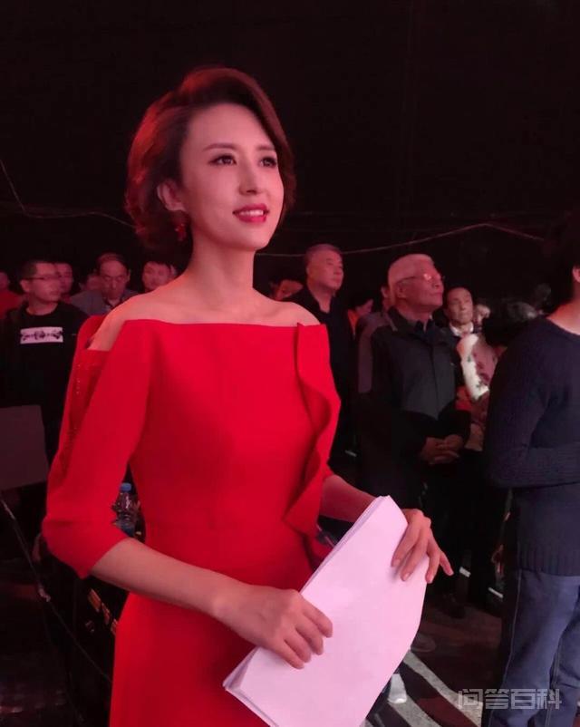 央视10大美女主持人,个个才貌双全,董卿知性,海霞端庄 历来能镇住场面的只有牡丹