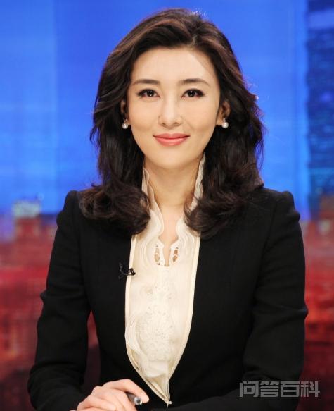 央视10大美女主持人,个个才貌双全,董卿知性,海霞端庄 开云手机站登录入口手机版登录又增加补
