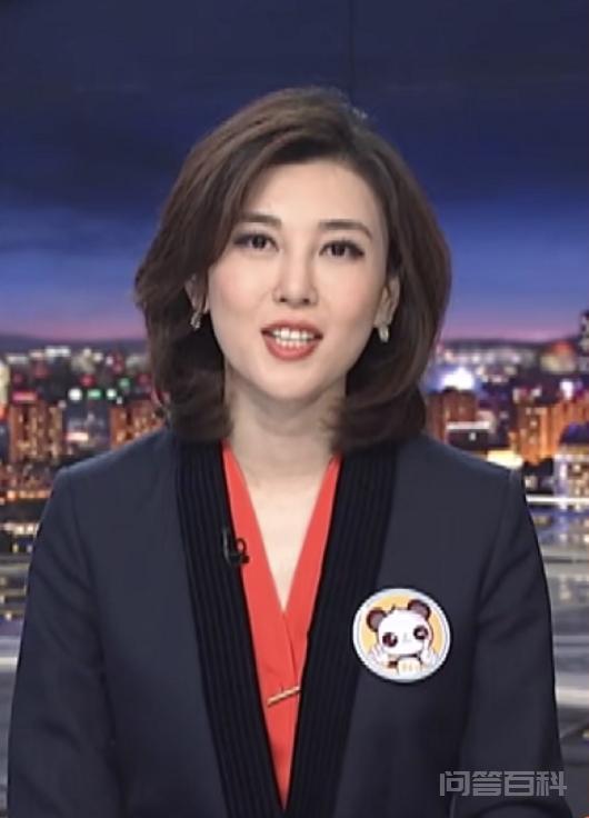 央视10大美女主持人,个个才貌双全,董卿知性,海霞端庄 手心冒出了些许虚汗