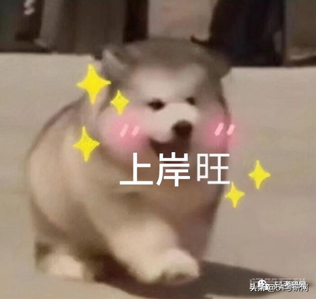 怎么查考场