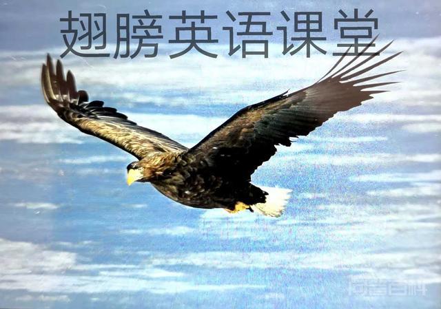 26个英文字母及发音音标分析 26个英文字母及发音音标如下: