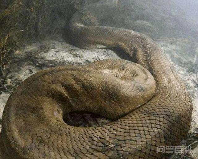 招来杀身之祸