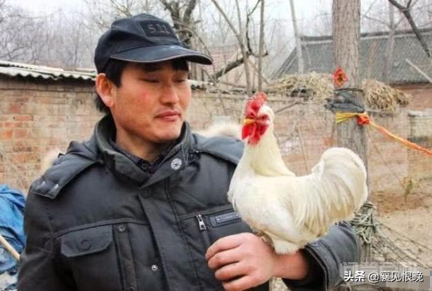 朱之文也只能火的2020