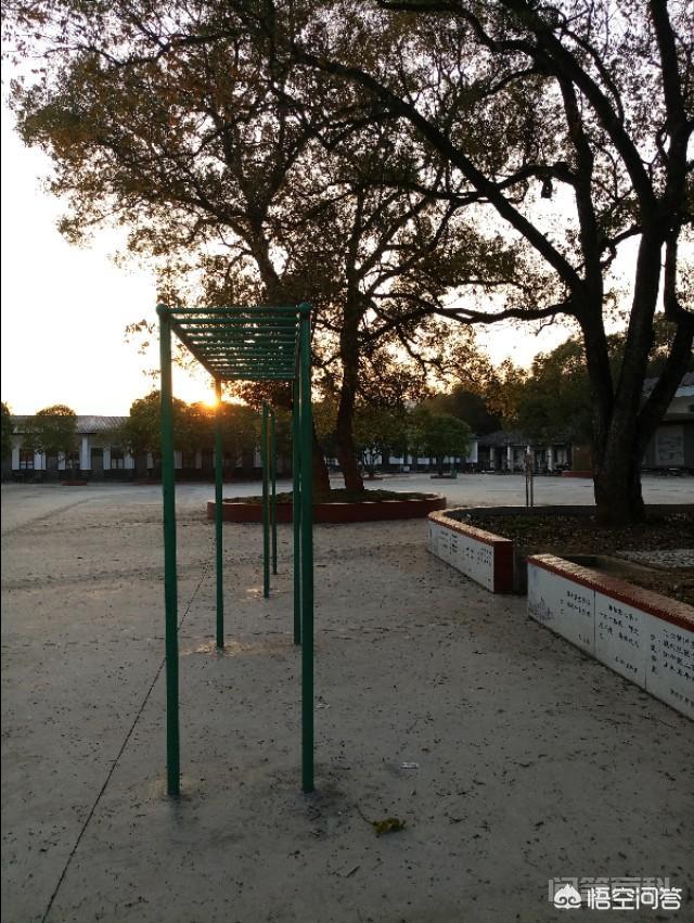 八哥是不是要剪了舌头才能说话？