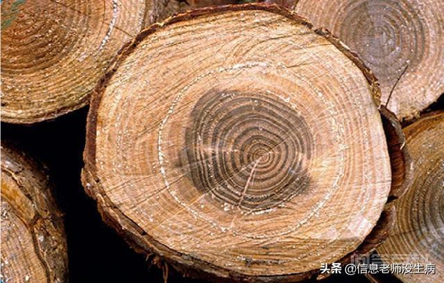 所谓的信息是指开云手机版登录? 清晨的霞光送来了黎明的信息