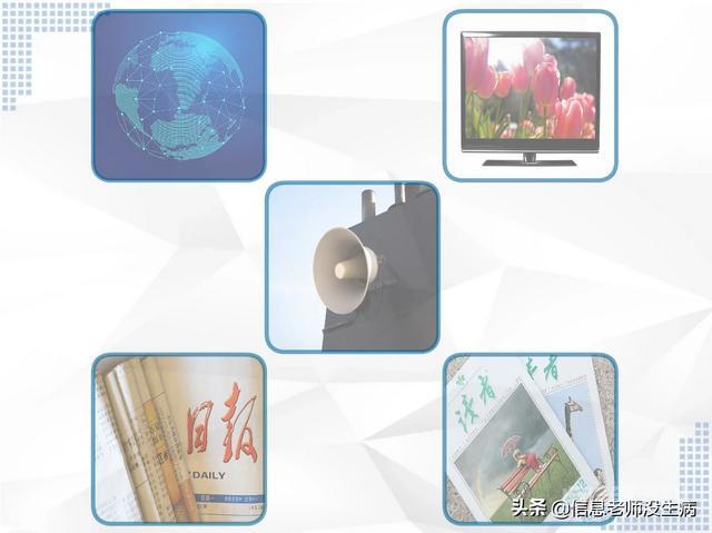 所谓的信息是指开云手机版登录? 树木的年轮铭刻者它的年龄
