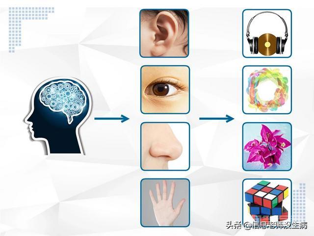 所谓的信息是指开云手机版登录? 有大量的“市场信息”“科技信息” “