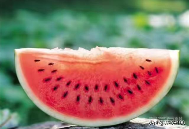 哪里产的瓜子好吃? 沙土队光合作用利用性比较强