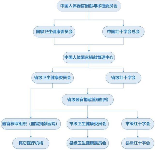 中国人体器官捐献志愿登记书。