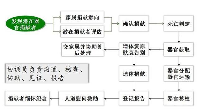 人体器官捐献管理工作体系