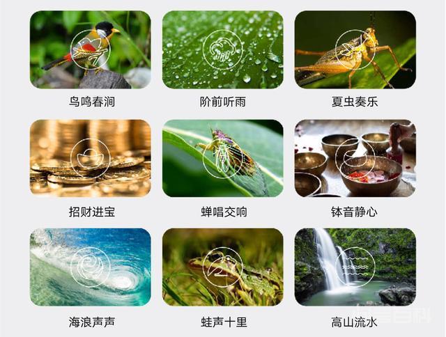 用茶种桃花,春未至,席上已是春光无限 融合古人雅事做成一件美物