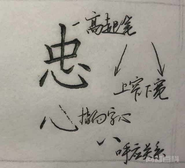写这些字时,你是否也有这样的问题? 写得位置太靠下了