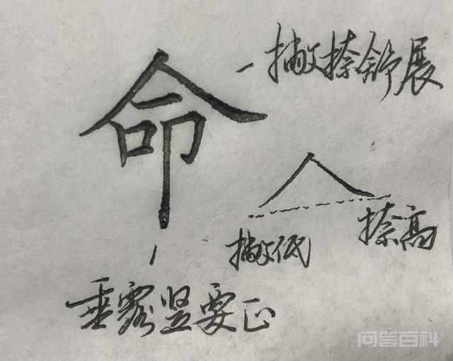 写这些字时,你是否也有这样的问题? 对照阅读书写时