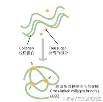 美白和去黄气是一回事吗?分别要注意啥? 美白是主要是抑制黑色素祛黄气主要是抗
