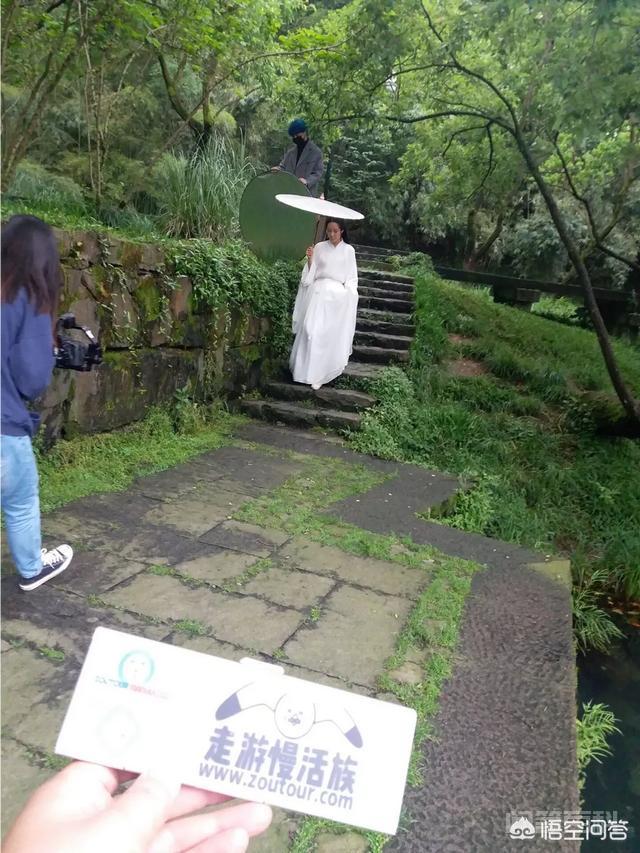 泰国有开云活动入口景点推荐? 着实让喜爱宠物的人心动不已