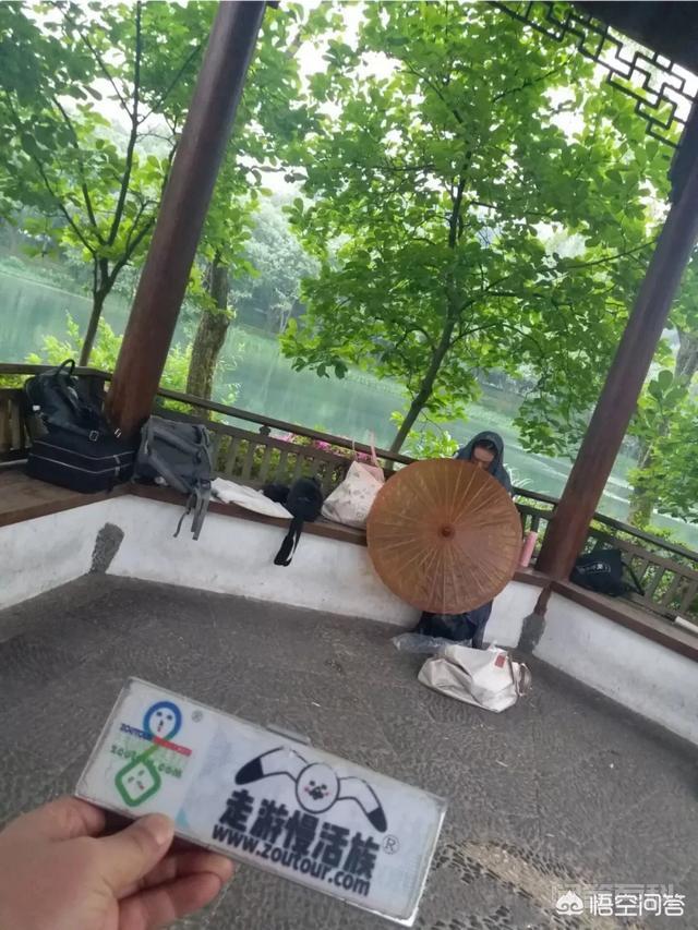 泰国有开云活动入口景点推荐? 就是以刺猬豚鼠为萌主的咖啡小屋