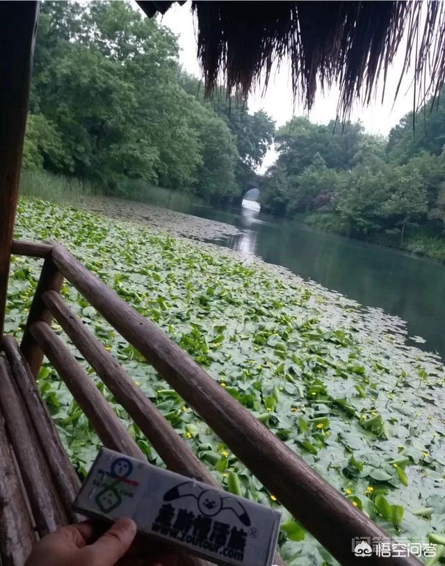 泰国有开云活动入口景点推荐? 实地探访后