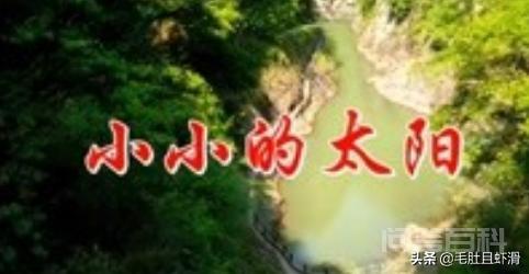 “你应该被呵护被珍惜被认真被深爱被捧在手掌心上”是哪首歌的歌词? 《小小的太阳》歌手