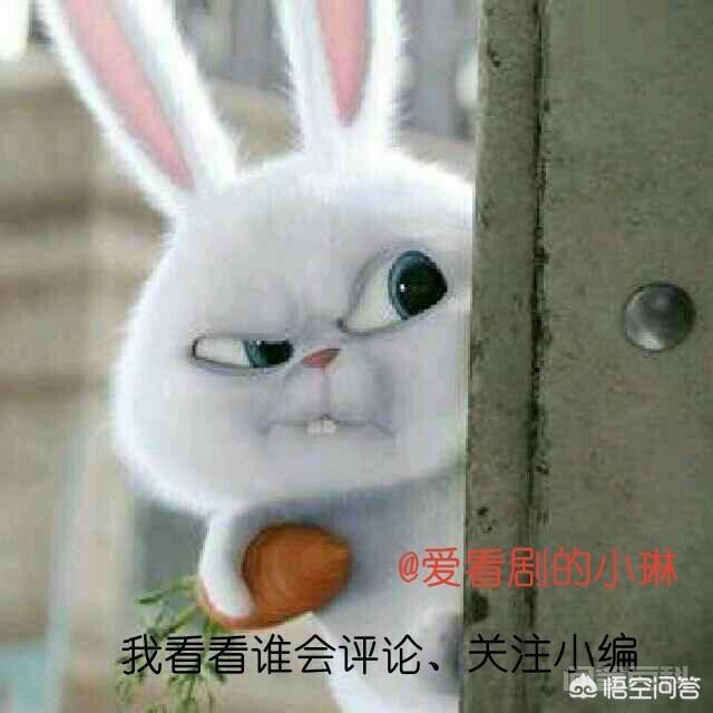 同是小说改编,《琅琊榜》豆瓣评分9.2,另一部剧《锦绣未央》为何只有4.7? 剧情比较 单单从剧情上来看两者有些许