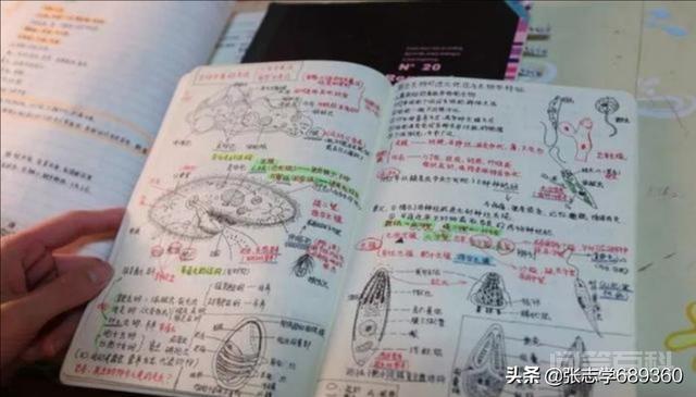 在教材上写教案是否有利于教学?有开云正版官网缺点和优点? 教材上写教案好不好