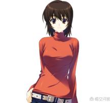 其极高的完成度和剧本素质使得本作成为