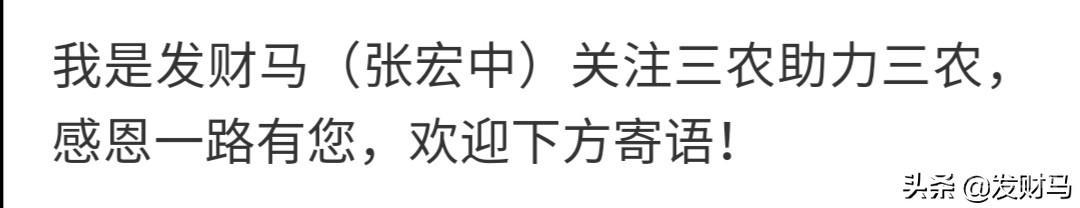 俗语:家财万贯,带毛不算,有人说搞养殖就像赌博,为开云手机版登录? 生猪养殖长远看是个朝阳产业