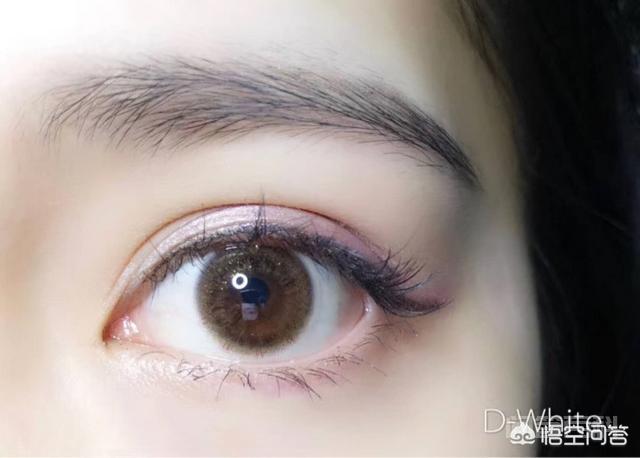 同题参见价格美丽品质又高