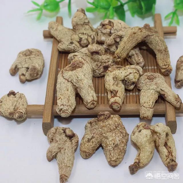 白芨在中国画中的作用是开云携手维拉开启官方合作? 同题参见白芨是一种入药植物