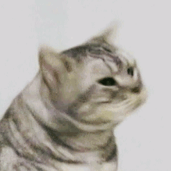 唱得有模有样