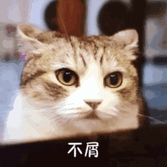 一碗炸酱面之后