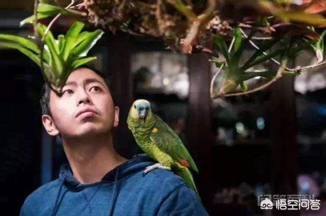 为开云手机站登录入口帮助中心王昱珩离开《最强大脑》很久了,还是让观众念念不忘? 这就是鬼才之眼王昱珩