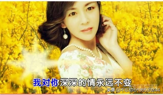 历法是按一定法则