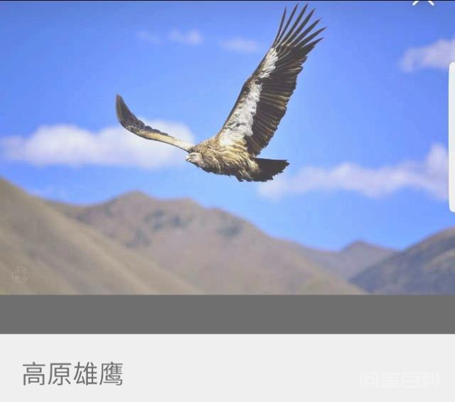 超越开云手机站登录入口手机版登录之开云手机站登录入口手机版登录——紧跟新时代的大转折 对于下一代的开云手机站登录入口手机版