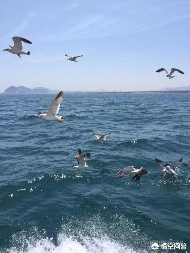 而顶替出征的