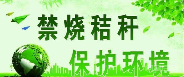 黑龙江全面禁止焚烧秸秆,那地里的秸秆该如何处理? 黑龙江发布了全面禁止焚烧秸秆的通知