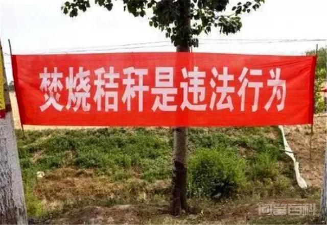 黑龙江全面禁止焚烧秸秆,那地里的秸秆该如何处理? 那地里的秸秆该如何处理呢
