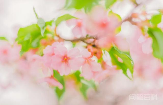有哪些句子曼妙了你的岁月? 4.从从容容