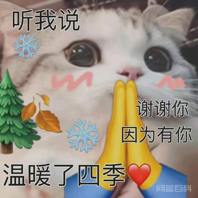 齁死,2022年的世界,值得这么甜的东西吗 这剧短评区散发出的阳光爱意
