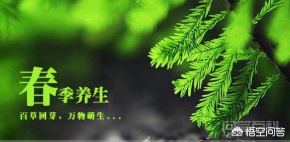 春季饮食需要注意些开云官网优惠活动? 食物的种类也更为丰富