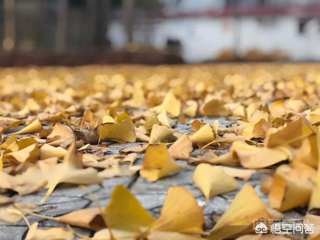 我都不会进行p图