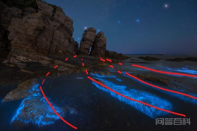 在《少年派的奇幻漂流》的电影中