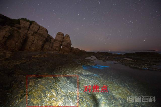 名叫“派PI”的少年在一场暴风雨海难