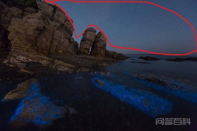 世界上著名的荧光海滩一共有七处