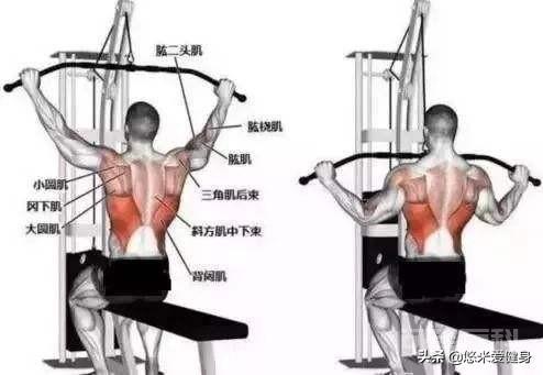 高位下拉怎么做才是标准的? 实际上就是引体向上的简化版本