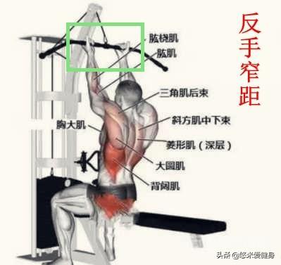 高位下拉怎么做才是标准的? 同题参见同时由于能增加使用重量