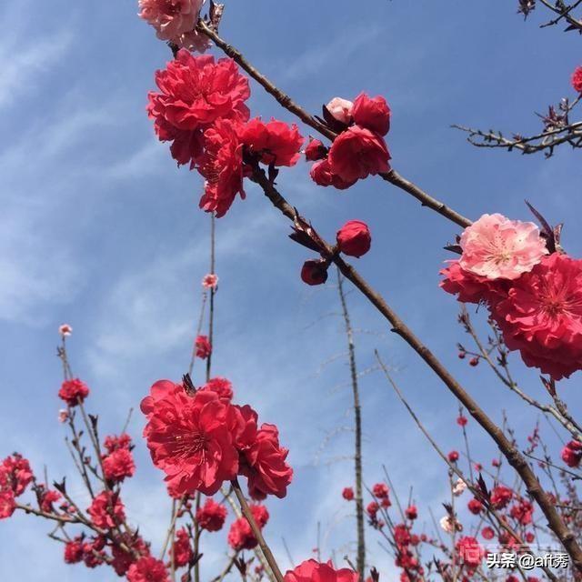 回母校教书是怎样的感受呢? 回到了熟悉的母校