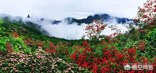非贵州莫属